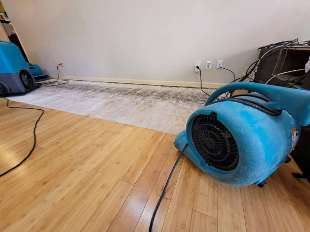 Professional Emergency Water Damage technician working in Sulphur Springs, IN